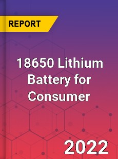 18650 Lithium Battery for Consumer Industry