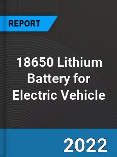 18650 Lithium Battery for Electric Vehicle Market