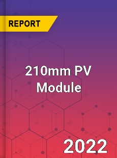 210mm PV Module Market