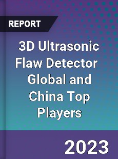 3D Ultrasonic Flaw Detector Global and China Top Players Market