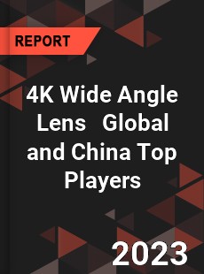 4K Wide Angle Lens Global and China Top Players Market