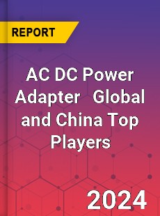 AC DC Power Adapter Global and China Top Players Market