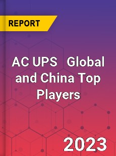 AC UPS Global and China Top Players Market