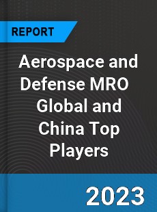 Aerospace and Defense MRO Global and China Top Players Market