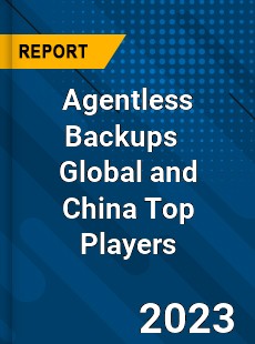 Agentless Backups Global and China Top Players Market