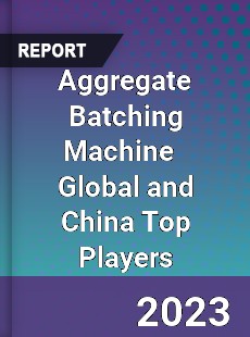 Aggregate Batching Machine Global and China Top Players Market