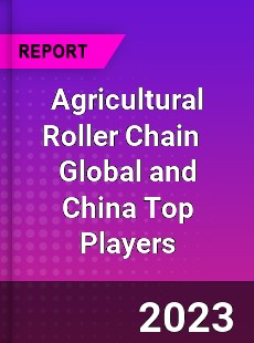 Agricultural Roller Chain Global and China Top Players Market