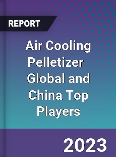 Air Cooling Pelletizer Global and China Top Players Market