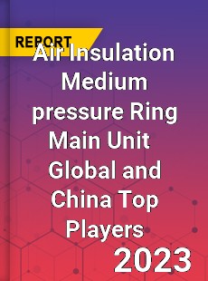 Air Insulation Medium pressure Ring Main Unit Global and China Top Players Market