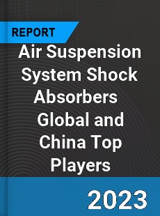 Air Suspension System Shock Absorbers Global and China Top Players Market