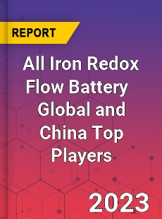 All Iron Redox Flow Battery Global and China Top Players Market