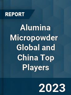 Alumina Micropowder Global and China Top Players Market
