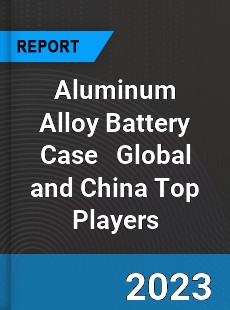 Aluminum Alloy Battery Case Global and China Top Players Market