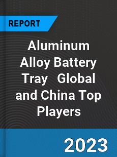 Aluminum Alloy Battery Tray Global and China Top Players Market
