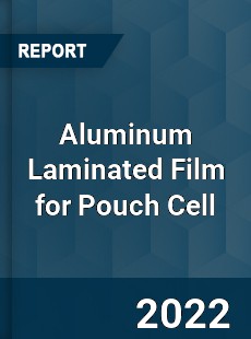 Aluminum Laminated Film for Pouch Cell Market