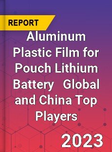 Aluminum Plastic Film for Pouch Lithium Battery Global and China Top Players Market