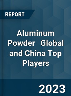Aluminum Powder Global and China Top Players Market