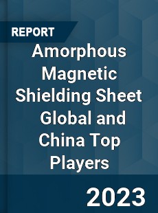 Amorphous Magnetic Shielding Sheet Global and China Top Players Market