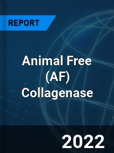 Animal Free Collagenase Market