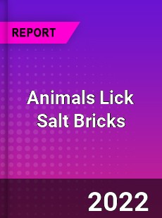 Animals Lick Salt Bricks Market
