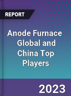 Anode Furnace Global and China Top Players Market