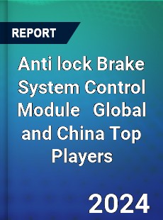 Anti lock Brake System Control Module Global and China Top Players Market