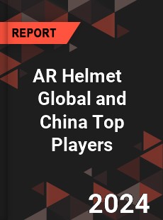 AR Helmet Global and China Top Players Market