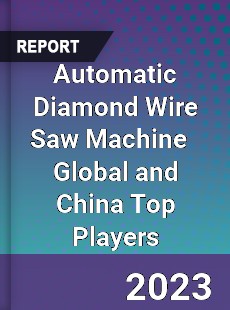 Automatic Diamond Wire Saw Machine Global and China Top Players Market
