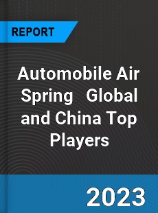 Automobile Air Spring Global and China Top Players Market