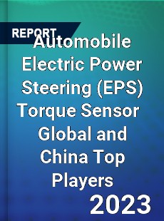 Automobile Electric Power Steering Torque Sensor Global and China Top Players Market