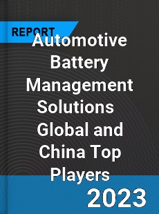 Automotive Battery Management Solutions Global and China Top Players Market