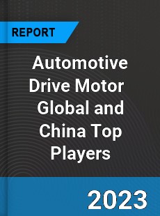 Automotive Drive Motor Global and China Top Players Market