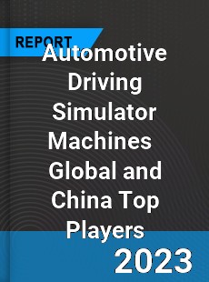 Automotive Driving Simulator Machines Global and China Top Players Market