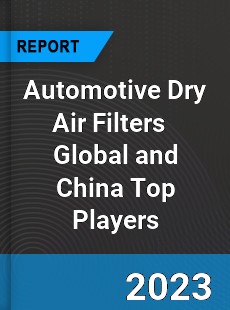 Automotive Dry Air Filters Global and China Top Players Market
