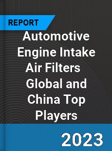 Automotive Engine Intake Air Filters Global and China Top Players Market