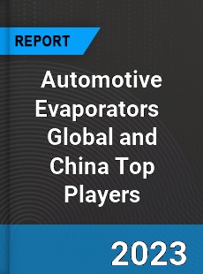 Automotive Evaporators Global and China Top Players Market