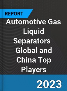 Automotive Gas Liquid Separators Global and China Top Players Market