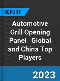 Automotive Grill Opening Panel Global and China Top Players Market
