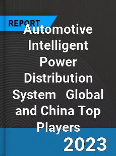 Automotive Intelligent Power Distribution System Global and China Top Players Market