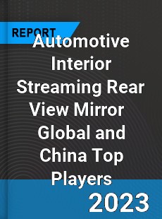 Automotive Interior Streaming Rear View Mirror Global and China Top Players Market