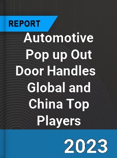 Automotive Pop up Out Door Handles Global and China Top Players Market