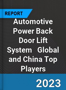 Automotive Power Back Door Lift System Global and China Top Players Market