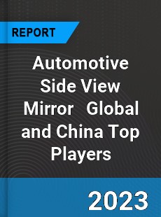 Automotive Side View Mirror Global and China Top Players Market