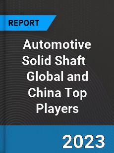 Automotive Solid Shaft Global and China Top Players Market