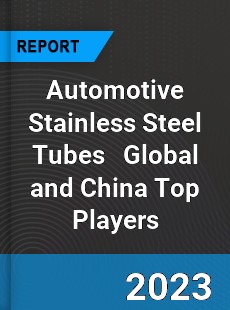 Automotive Stainless Steel Tubes Global and China Top Players Market