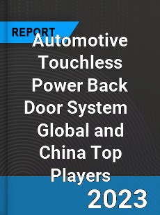 Automotive Touchless Power Back Door System Global and China Top Players Market