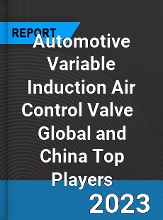 Automotive Variable Induction Air Control Valve Global and China Top Players Market