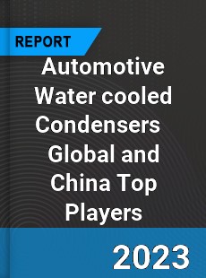 Automotive Water cooled Condensers Global and China Top Players Market