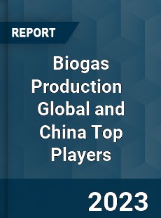 Biogas Production Global and China Top Players Market