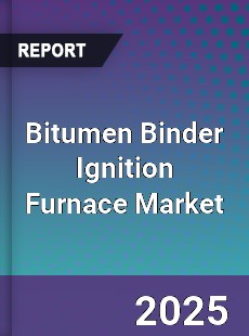 Bitumen Binder Ignition Furnace Global Market